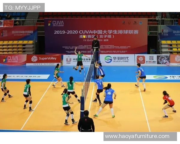 南京排球队在城市联赛中的技术表现分析与点评